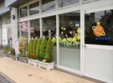 ���ӊ��@�R�X���E�A���[