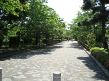 ���ӊ��@�˓����